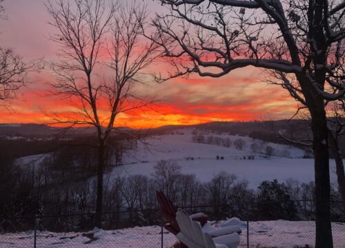 original 1009931494404524126 1785803859