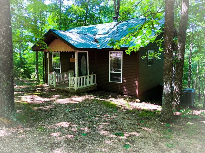 original 1015321816943606769 1771660290