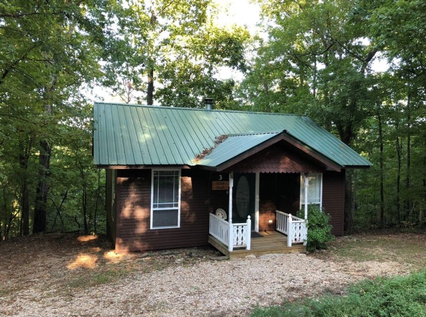 original 1015321968566307097 1771660658