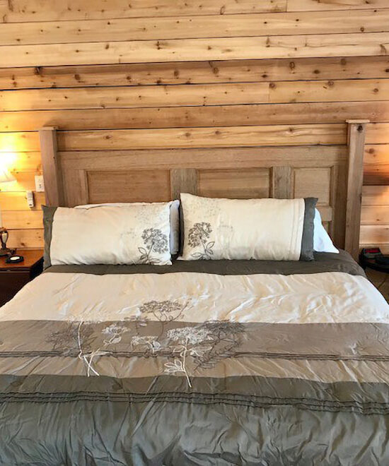 original 1015322240736937120 1771660981