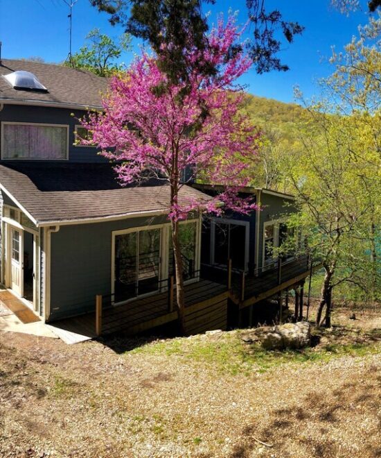 original 1025464492676782507 1781103028