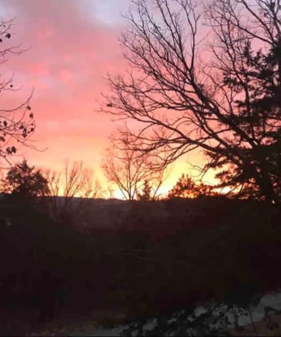 original 1025485053517681256 1781123139