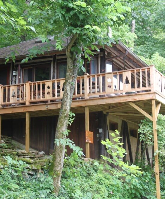 original 1078172357748049805 1829288669