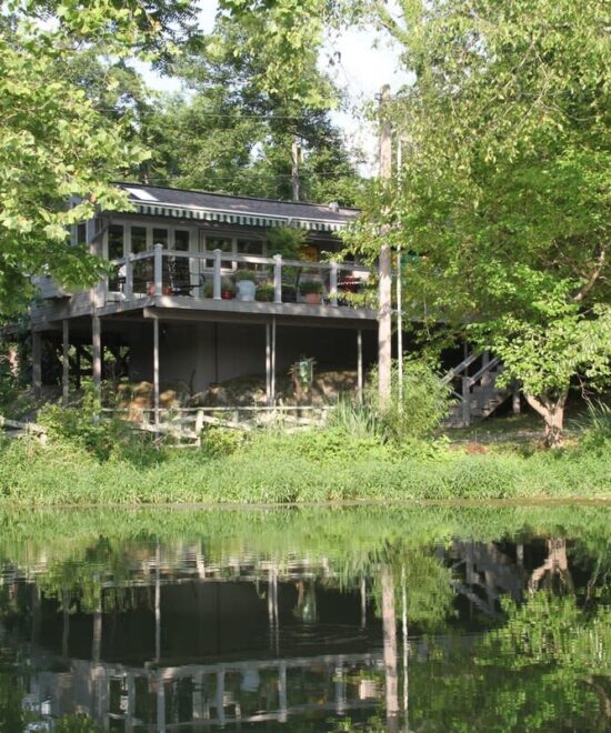 original 1078172643442696222 1829289501